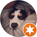 Brandon C. profile picture