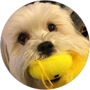 Jude M. profile picture