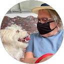 Stephen H. profile picture
