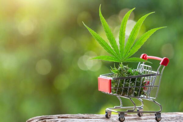 How Same-Day Weed Delivery Works
