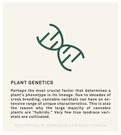 Terroir_plant-genetics