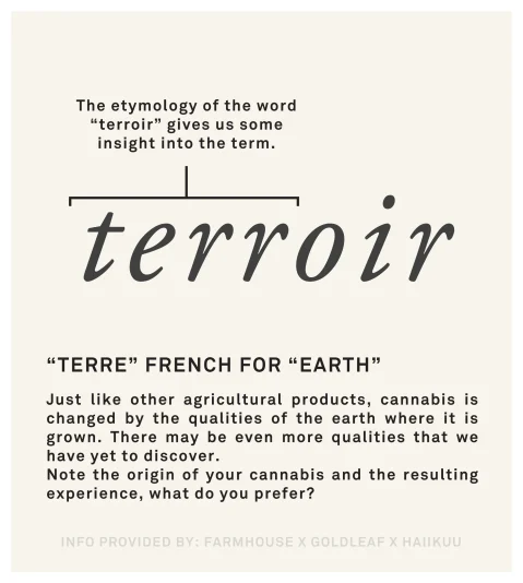 Terroir_terroir-etym
